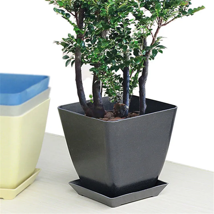 Hvad er forskellene mellem bambusfiber blomsterpotte og almindelige blomsterpotter?